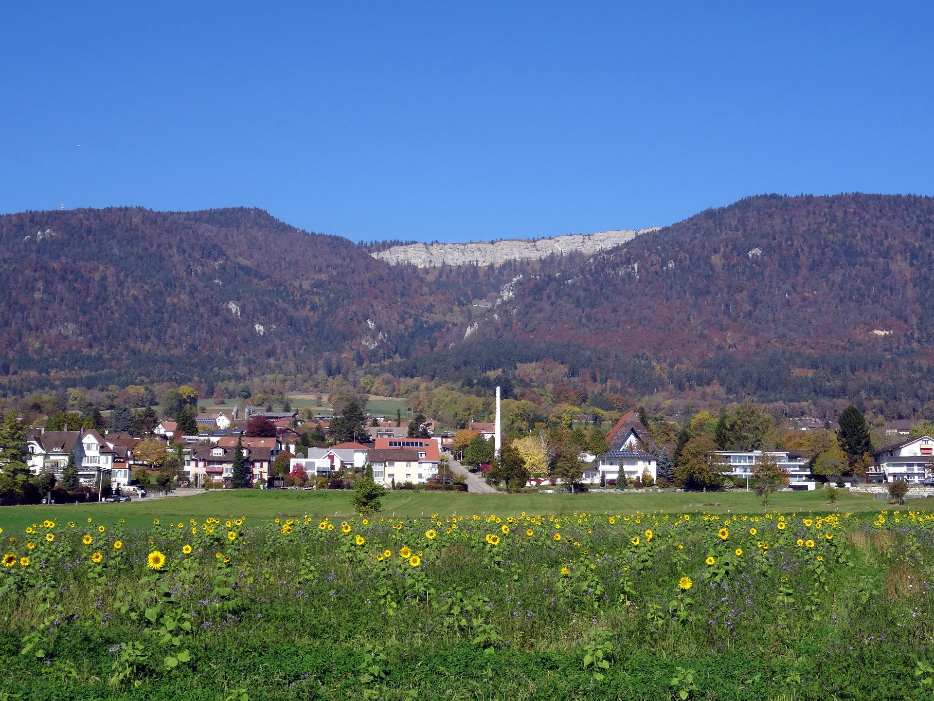Bettlach
